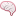 Brain Donor